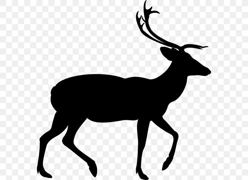 Deer Vector Graphics Clip Art Illustration Image, PNG, 576x595px, Deer, Antelope, Antler, Art, Chamois Download Free