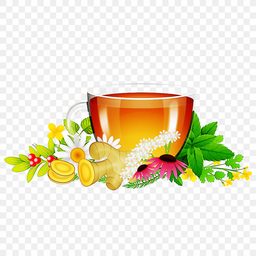 Drink Plant Flower Herbal Herbaceous Plant, PNG, 1024x1024px, Drink, Chinese Herb Tea, Flower, Herb, Herbaceous Plant Download Free