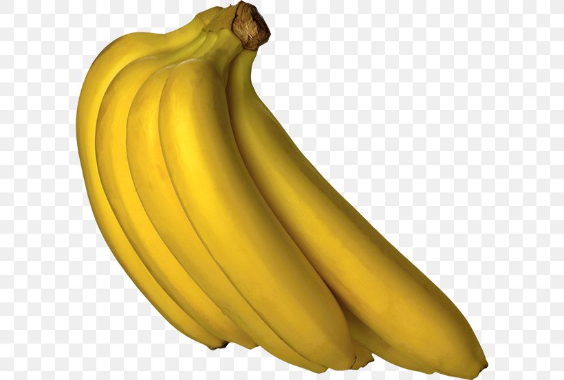 Banana Bread Hardy Banana Clip Art, PNG, 600x553px, Banana Bread, Banana, Banana Family, Commodity, Cooking Banana Download Free