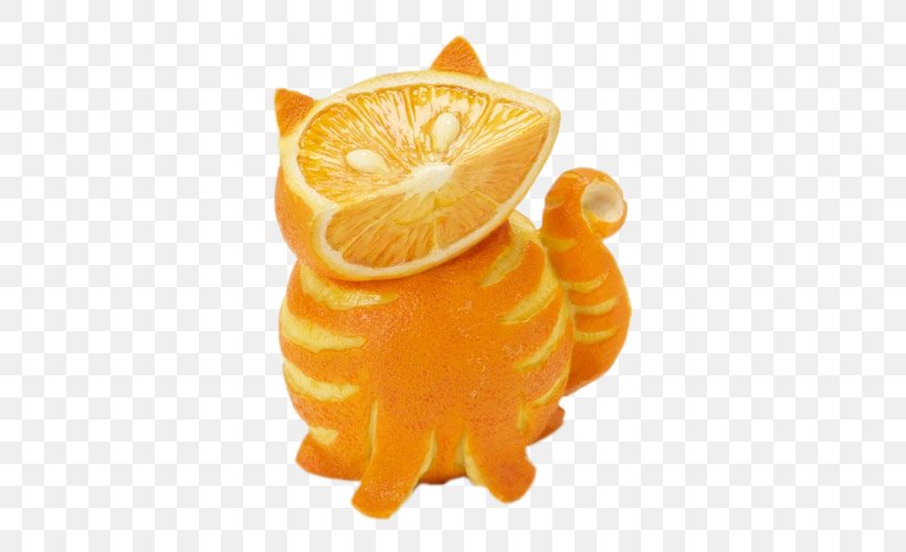 Cat Orange The Arts Humour, PNG, 500x500px, Cat, Art, Arts, Citric Acid, Deviantart Download Free