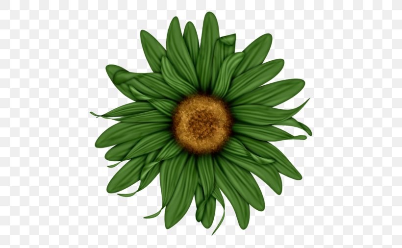 Flower Desktop Wallpaper Clip Art, PNG, 500x506px, Flower, Autocad Dxf, Common Daisy, Common Sunflower, Daisy Download Free