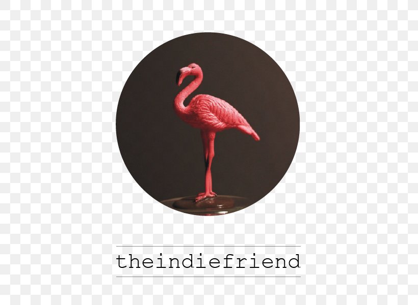 Furniture Beak Leitmotif, PNG, 600x600px, Furniture, Beak, Bird, Flamingo, Leitmotif Download Free