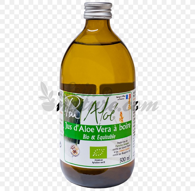 Jugo De Aloe Vera Juice Birch Sap Drinking, PNG, 800x800px, Aloe Vera, Aloes, Birch Sap, Drink, Drinking Download Free