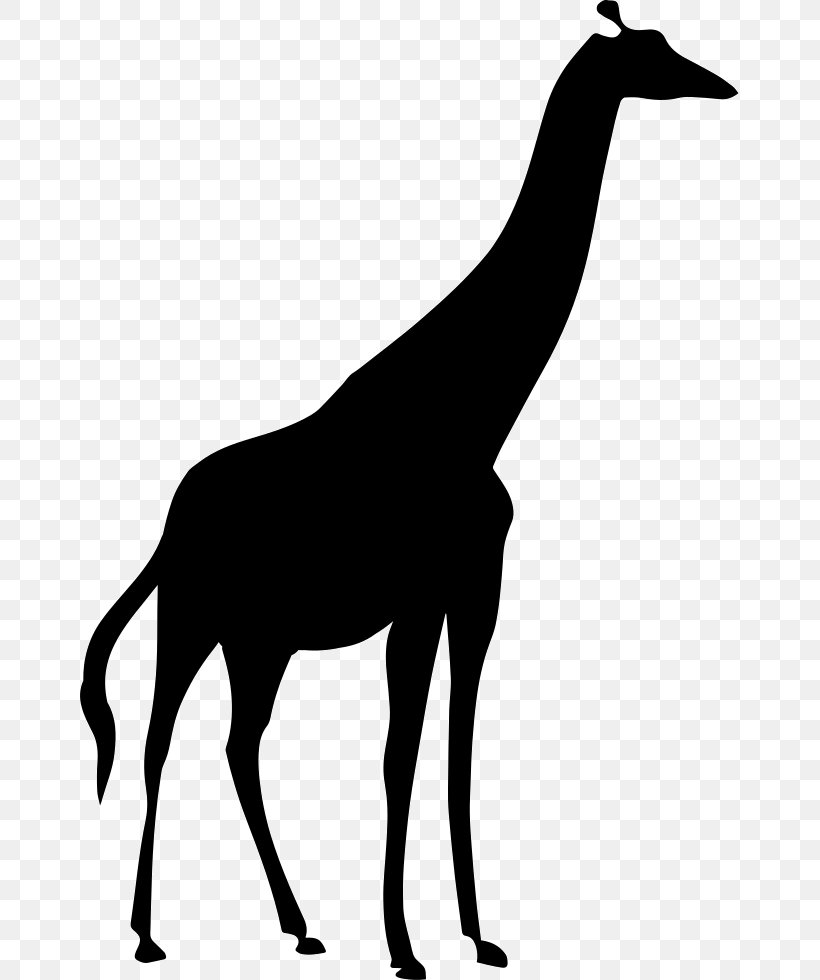 Northern Giraffe Image Silhouette Vector Graphics, PNG, 659x980px, Northern Giraffe, Animal, Animal Figure, Blackandwhite, Coloring Book Download Free