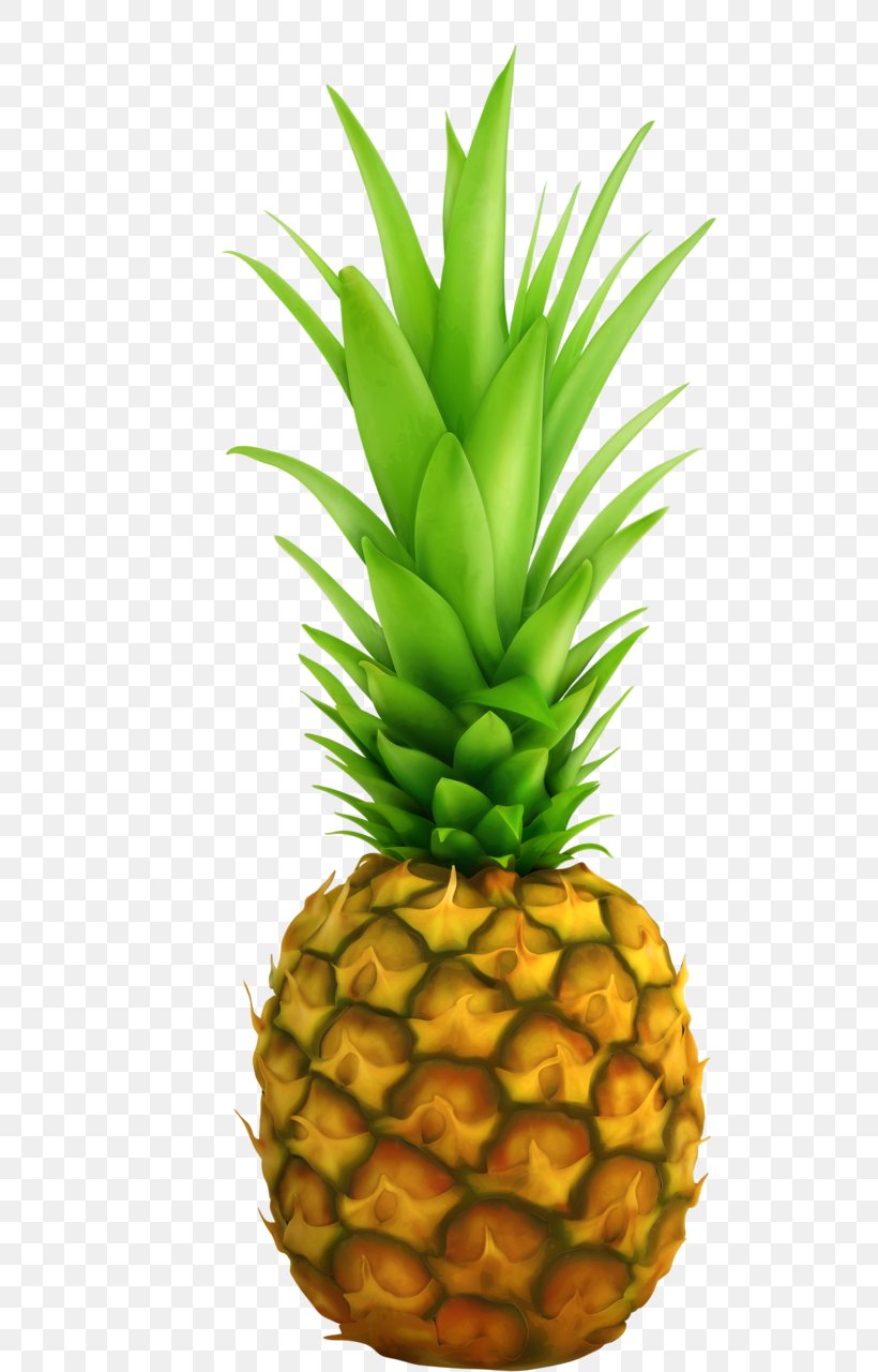 Pineapple Fruit Clip Art, PNG, 518x1280px, Pineapple, Ananas, Bromeliaceae, Can Stock Photo, Canning Download Free