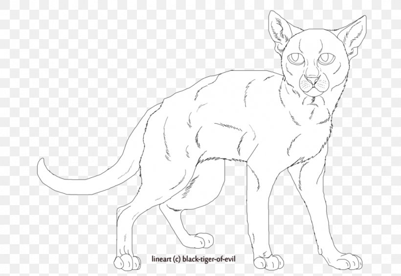 Whiskers Cat Fauna Line Art Wildlife, PNG, 1024x706px, Whiskers, Animal, Animal Figure, Artwork, Black And White Download Free