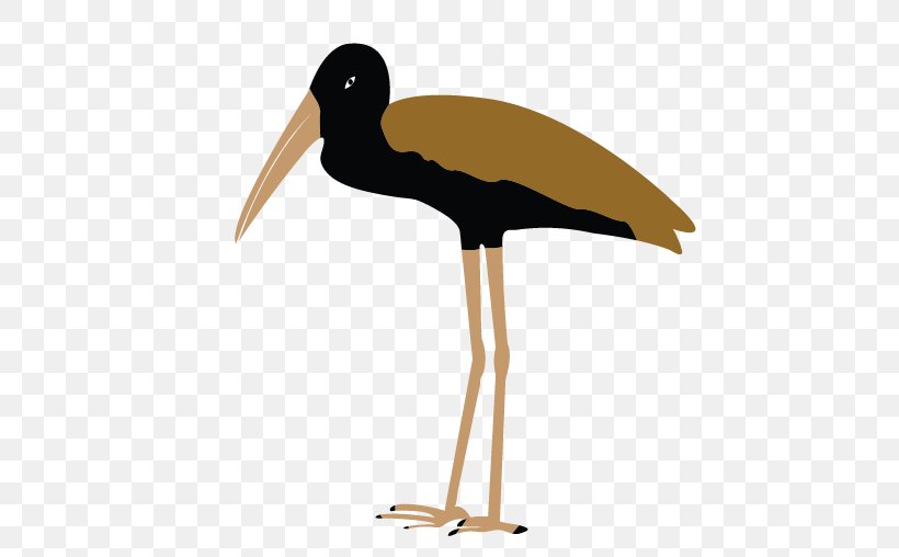 White Stork Water Bird Beak, PNG, 508x508px, White Stork, Beak, Bird, Ciconiiformes, Shorebird Download Free
