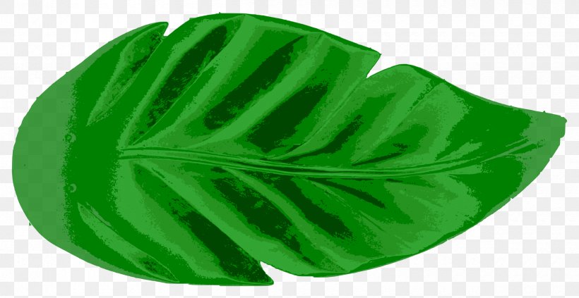 Leaf Clip Art, PNG, 2400x1239px, Leaf, Art, Grass, Green, Plant Download Free