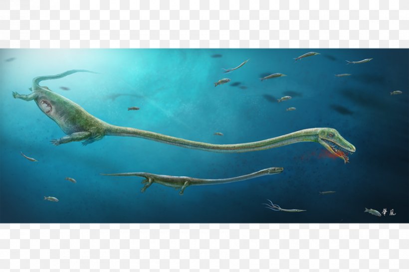Sea Monster Reptile Dinocephalosaurus Paleontology, PNG, 900x600px, Sea Monster, Birth, Dinosaur, Embryo, Fauna Download Free