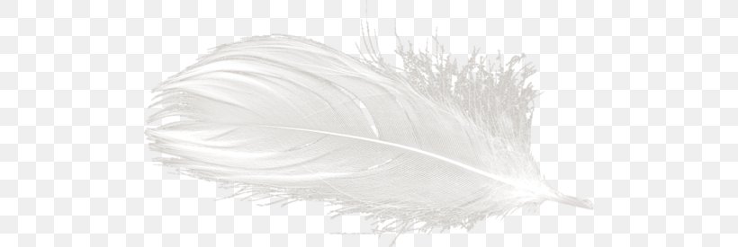 White Feather Yandex Search Clip Art, PNG, 500x275px, Feather, Black And White, Consciousness, Liveinternet, Picture Frames Download Free