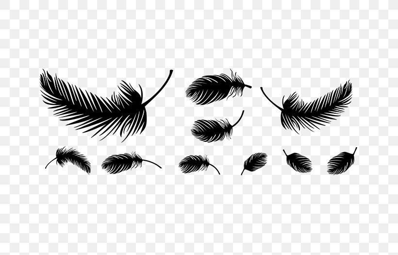 Bird Feather Insect Eyelash Membrane, PNG, 700x525px, Bird, Black And White, Eyelash, Feather, Hungarian Forint Download Free