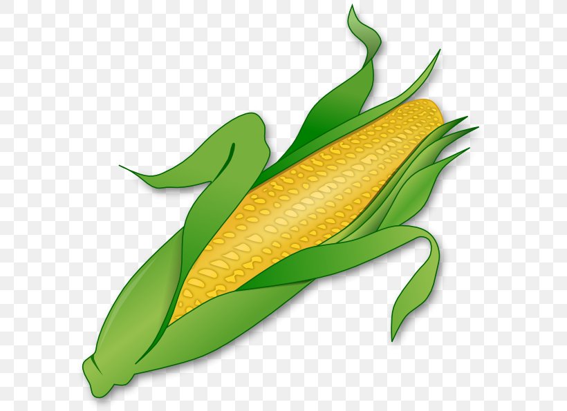 Corn On The Cob Maize Sweet Corn Clip Art, PNG, 600x595px, Corn On The Cob, Commodity, Corncob, Food, Free Content Download Free