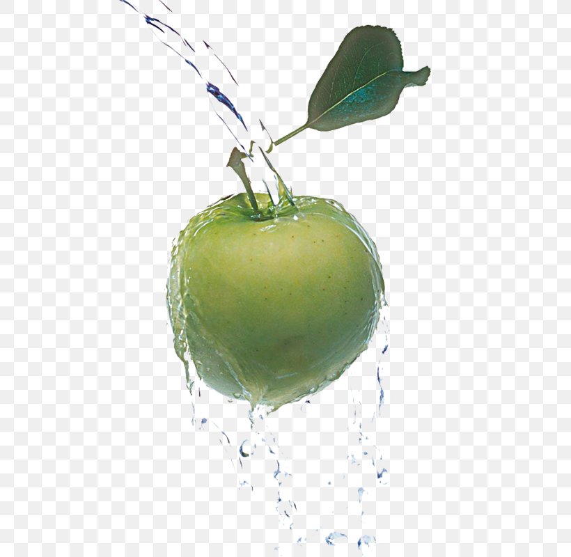 Granny Smith, PNG, 800x800px, Granny Smith, Apple, Citrus, Drop, Food Download Free