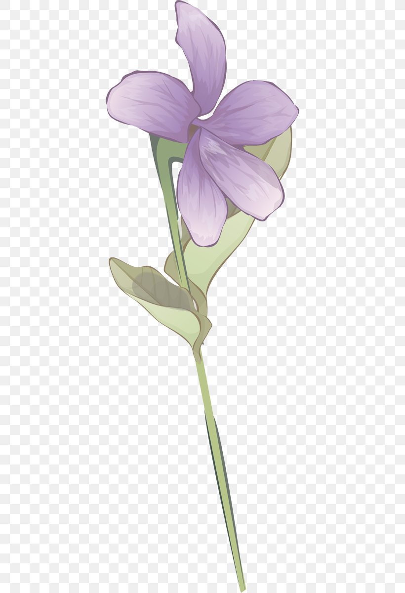 Plant Stem Herbaceous Plant Violet Family, PNG, 392x1200px, Plant Stem, Family, Flora, Flower, Flowering Plant Download Free