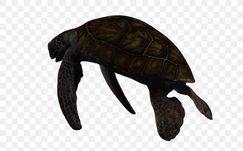 Pond Turtles 3D Computer Graphics Sea Turtle Deep Sea Creature, PNG, 1024x639px, 3d Computer Graphics, Turtle, Animal, Art, Deep Sea Creature Download Free