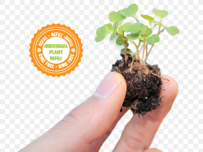 The Non-GMO Project Genetically Modified Organism Soil Germination Seed, PNG, 721x613px, Nongmo Project, Clay, Compost, Flower, Flowerpot Download Free