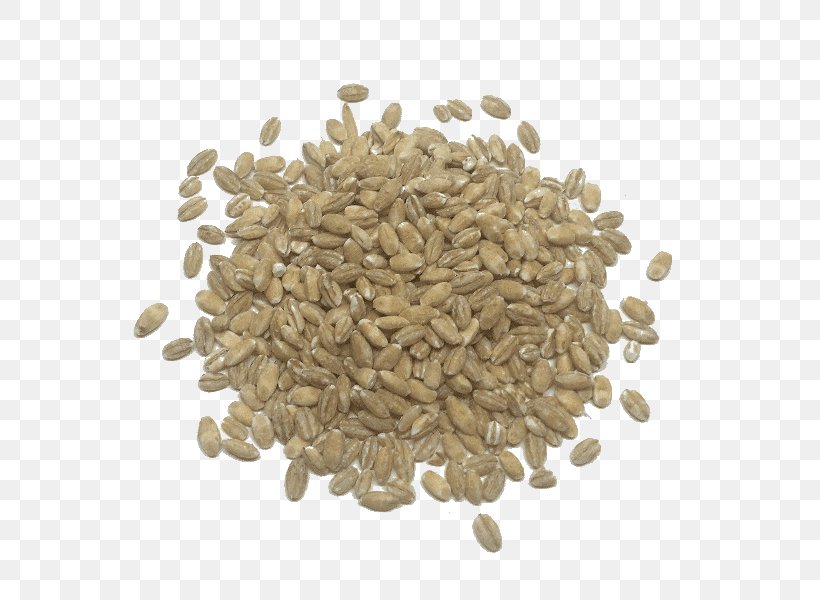 Cereal Breakfast Quinoa Barley Food Grain, PNG, 800x600px, Cereal, Amaranth Grain, Barley, Barleycorn, Breakfast Download Free