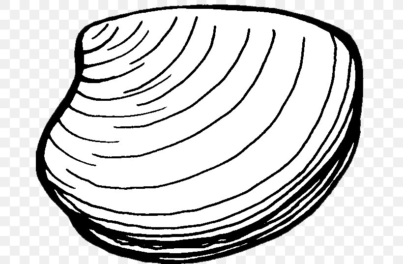 Clam Chowder Mussel Clam Chowder Clip Art, PNG, 673x537px, Clam, Black And White, Chowder, Clam Chowder, Coloring Book Download Free