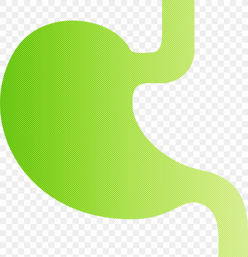 Stomach Organ, PNG, 2895x3000px, Stomach Organ, Green, Logo Download Free