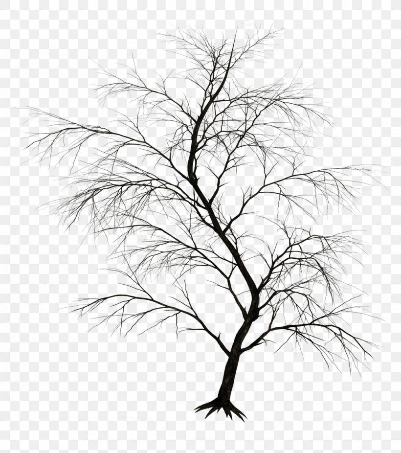 Drawing Art Clip Art, PNG, 1024x1157px, Drawing, Art, Black And White, Branch, Deviantart Download Free
