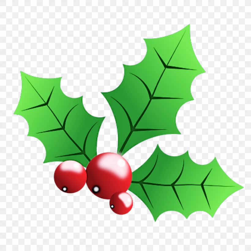 Holly, PNG, 1024x1024px, Holly, American Holly, Branch, Currant, Flower Download Free