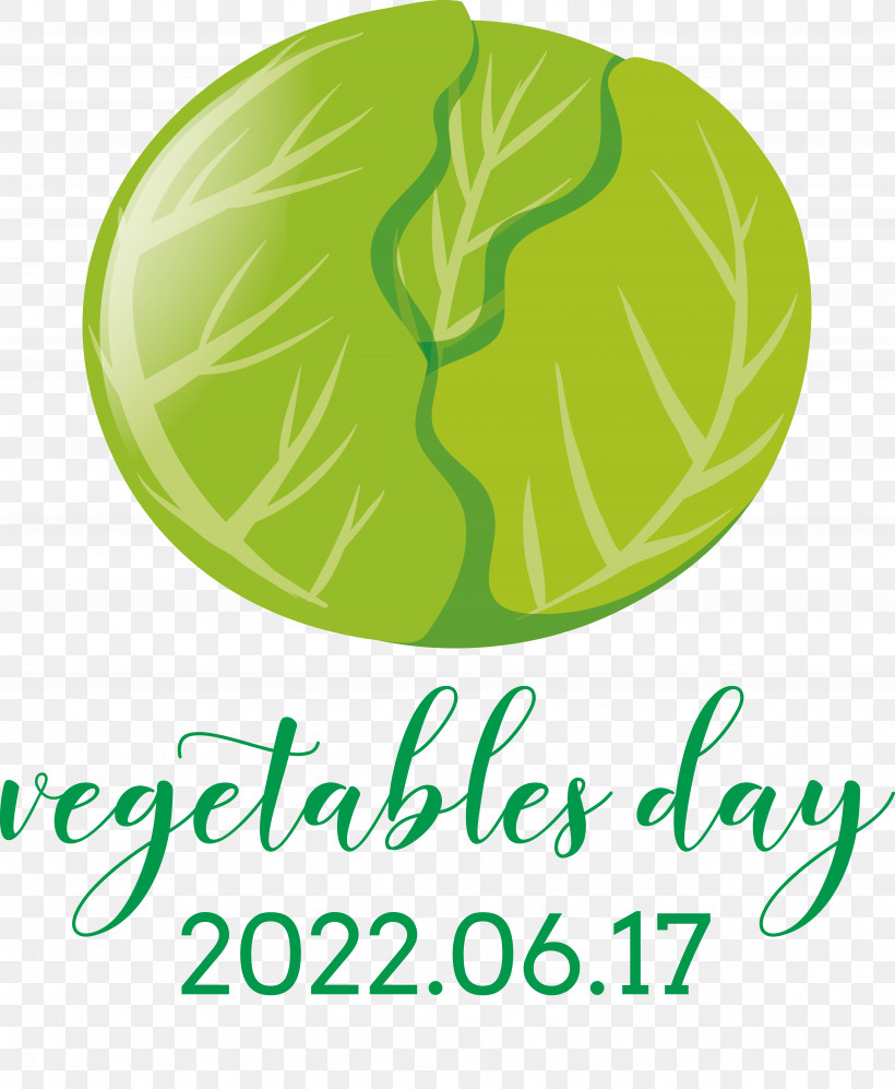 Leaf Leaf Vegetable Vegetable Logo Line, PNG, 5131x6241px, Leaf, Biology, Fruit, Leaf Vegetable, Line Download Free