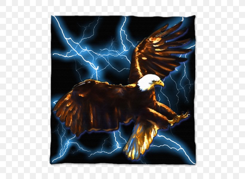 Eagle Bird Of Prey Beak Mythology, PNG, 600x600px, Eagle, Beak, Bird, Bird Of Prey, Computer Download Free
