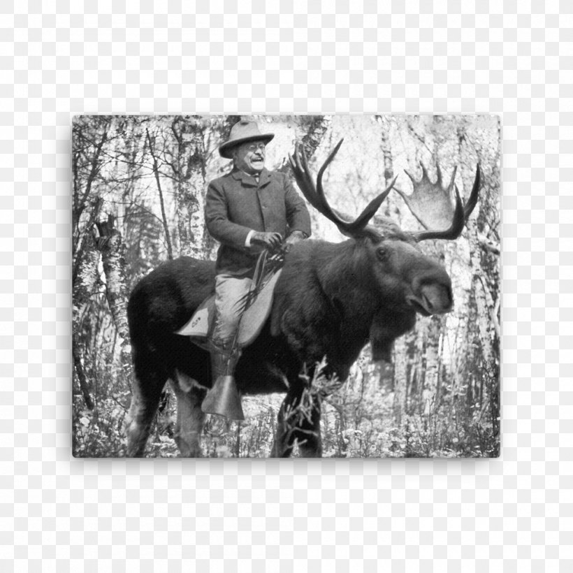 The Rough Riders Moose United States Zazzle, PNG, 1000x1000px, Rough Riders, Antler, Black And White, Bull, Canvas Print Download Free