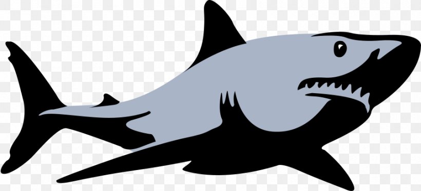 Great White Shark Background, PNG, 900x410px, Tshirt, Animal Figure, Birthday, Blackandwhite, Bull Shark Download Free