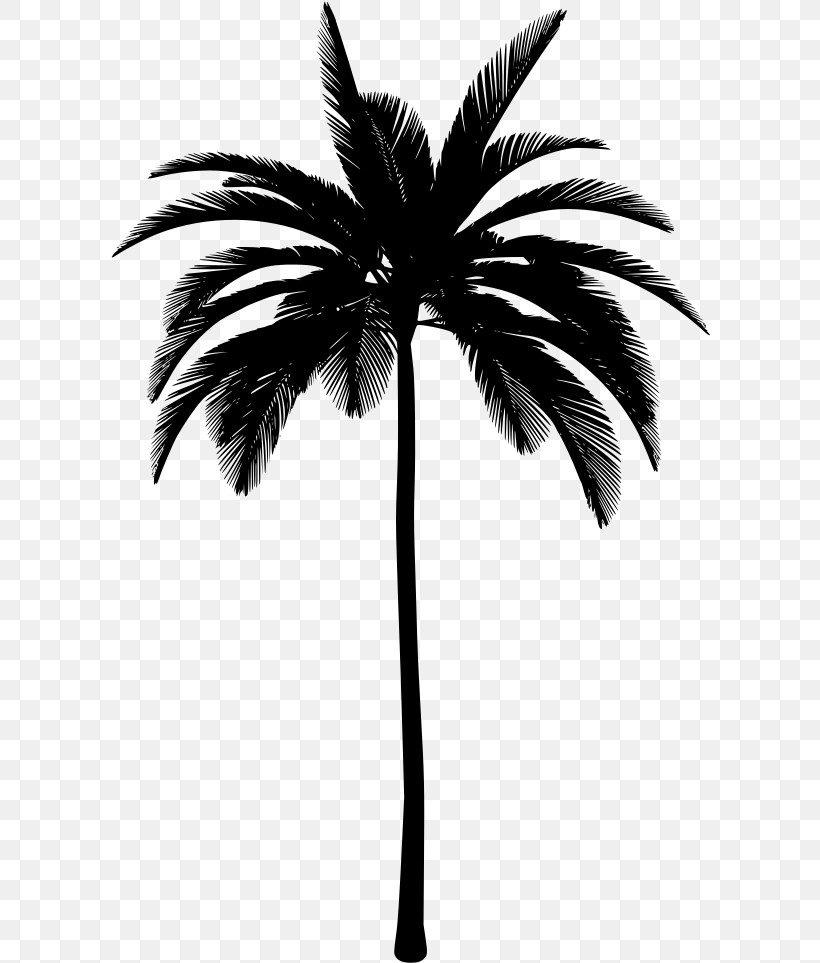 Palm Tree, PNG, 600x963px, Tree, Arecales, Black, Blackandwhite, Leaf Download Free