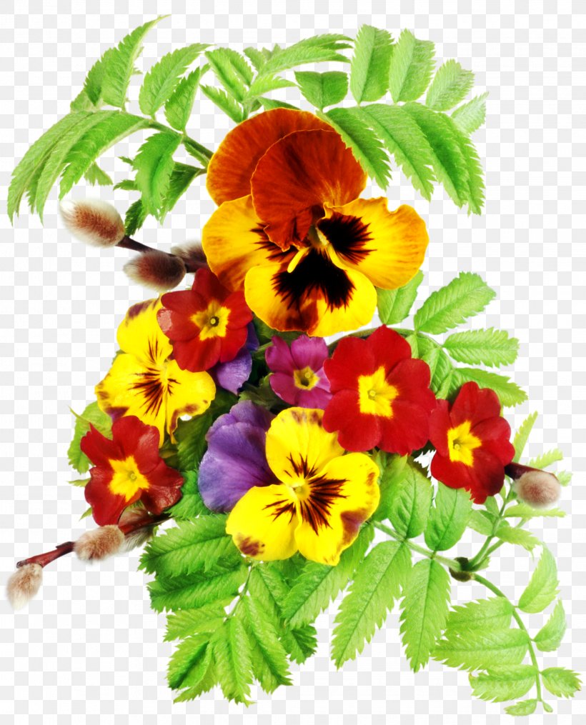 Pansy Viola Clip Art Flower, PNG, 2245x2780px, Pansy, Annual Plant, Cut Flowers, Floral Design, Flower Download Free