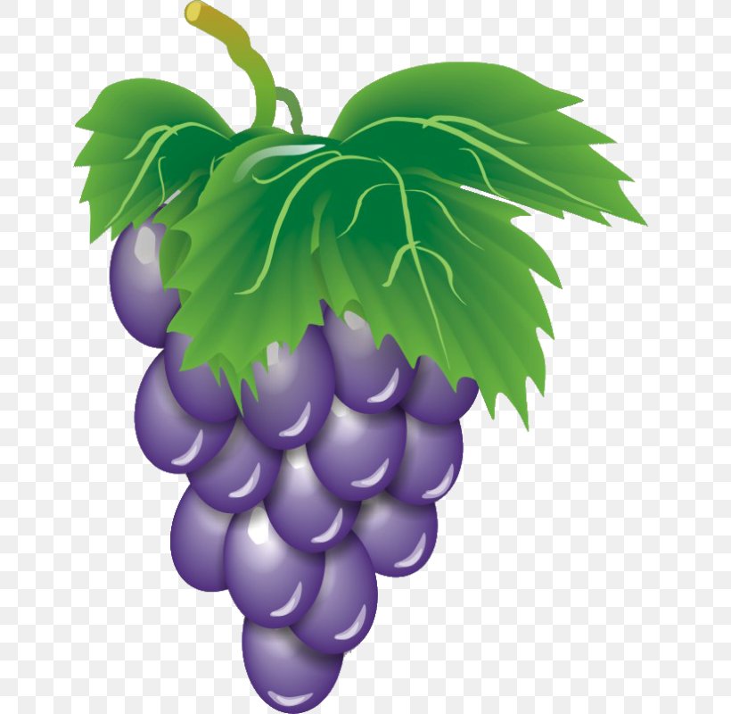 Wine Common Grape Vine Fruit Clip Art, PNG, 665x800px, Wine, Canopy, Common Grape Vine, Flowering Plant, Food Download Free
