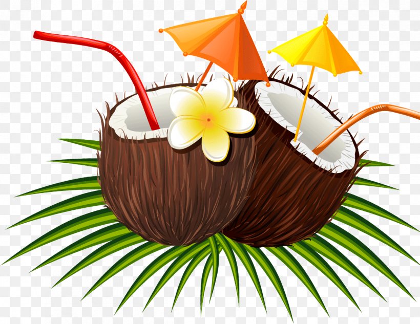Coconut Milk Euclidean Vector, PNG, 1197x925px, Coconut Milk, Arecaceae, Coconut, Floral Design, Flower Download Free