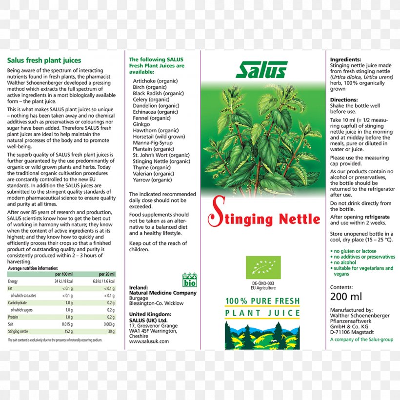 Common Nettle Juice Urtica Thunbergiana FRESH! Milliliter, PNG, 1000x1000px, Common Nettle, Brochure, Fresh, Grass, Juice Download Free