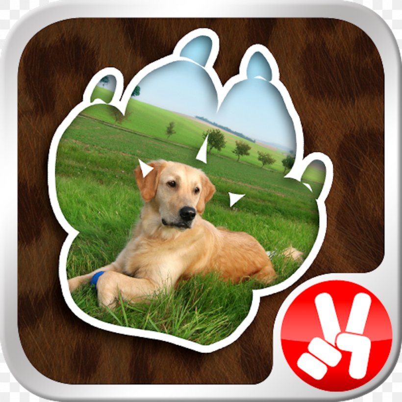 Dog Breed Puppy Horse Retriever Pet, PNG, 1024x1024px, Dog Breed, Animal, App Store, Apple, Carnivoran Download Free