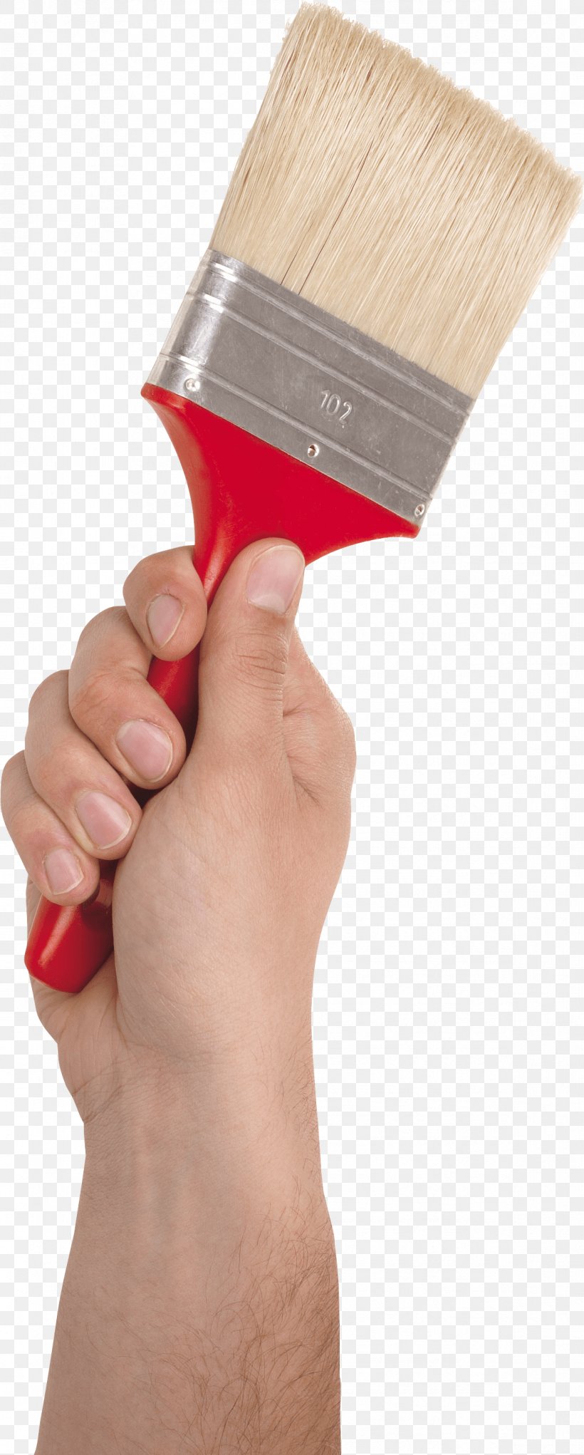 Paint Brush In Hand Image, PNG, 1169x2912px, Brush, Finger, Hand, Paint, Paintbrush Download Free
