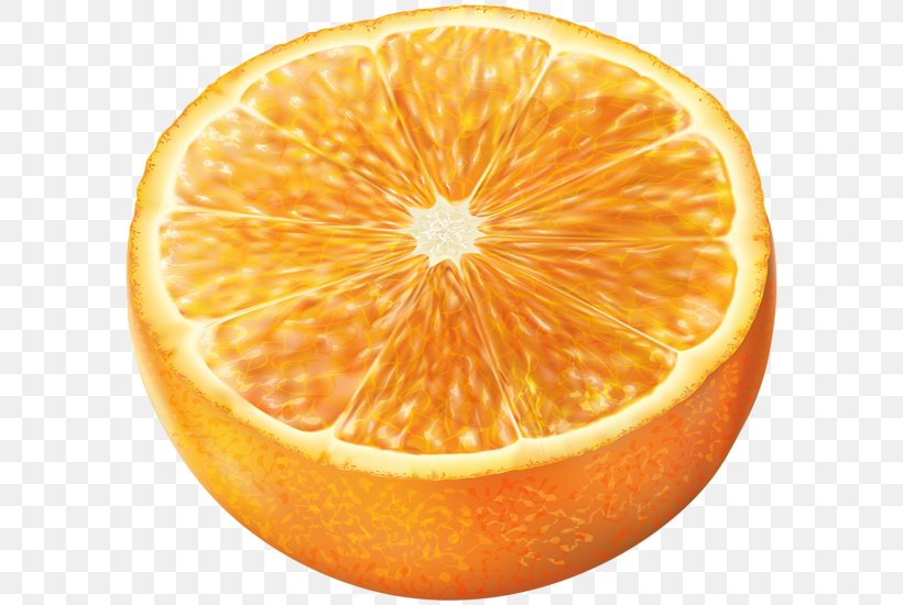 Tangerine Grapefruit Mandarin Orange Clip Art, PNG, 600x550px, Tangerine, Bitter Orange, Citric Acid, Citrus, Clementine Download Free