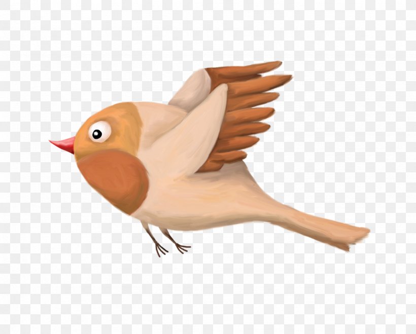 Bird Beak Image Feather, PNG, 1024x823px, Bird, Adium, Beak, Cartoon, Fauna Download Free