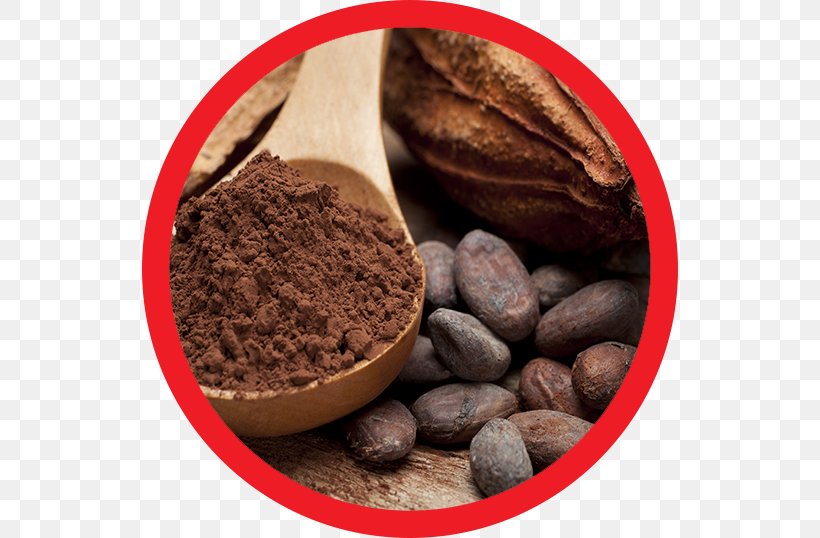 Cocoa Bean Chocolate Bar Cocoa Solids Theobroma Cacao, PNG, 536x538px, Cocoa Bean, Caffeine, Chocolate, Chocolate Bar, Chocolate Liquor Download Free