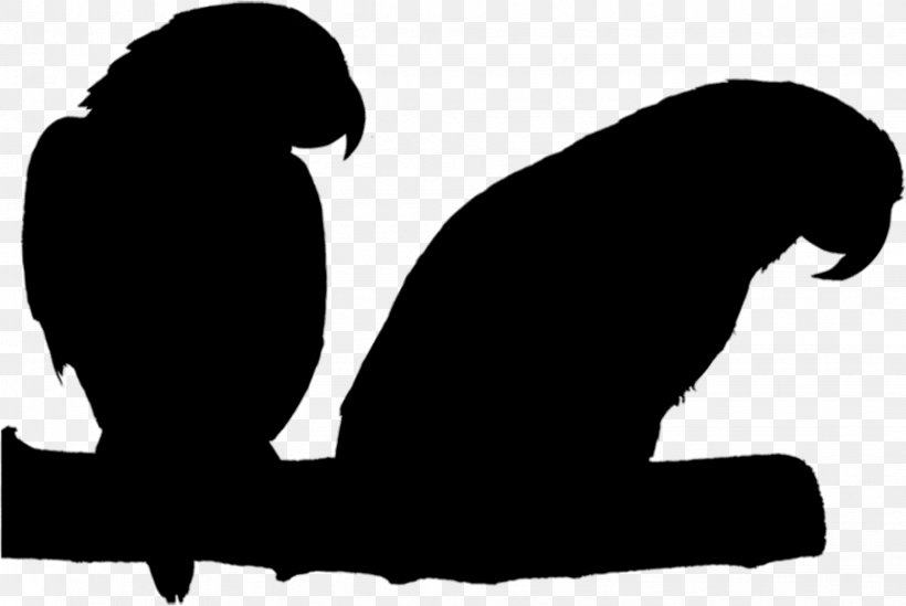 Beak Bird Clip Art Silhouette Pet, PNG, 2044x1370px, Beak, Bird, Black M, Blackandwhite, Flightless Bird Download Free
