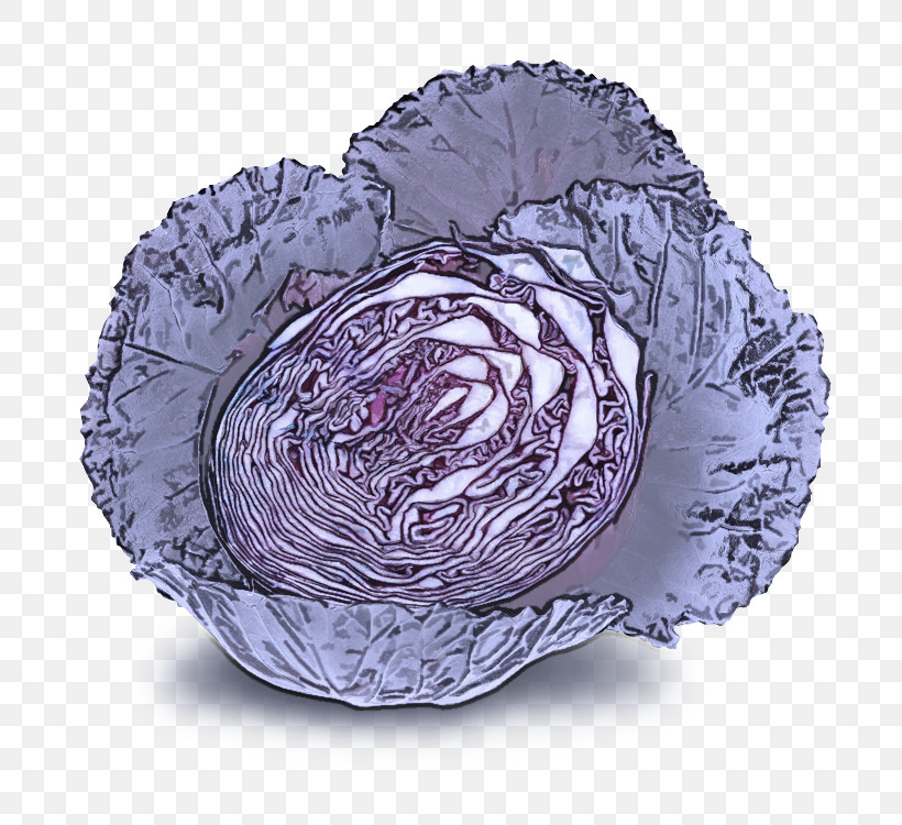 Cabbage Purple Violet Wild Cabbage Vegetable, PNG, 750x750px, Cabbage, Dishware, Flower, Plant, Purple Download Free