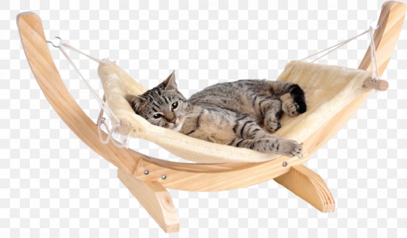 Cat Play And Toys Hammock Felidae Bed, PNG, 1200x703px, Cat, Animal, Animal Figure, Bed, Carnivoran Download Free