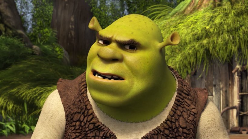 Donkey Shrek The Musical Princess Fiona Shrek Film Series, PNG, 1438x809px, Donkey, Dreamworks Animation, Fictional Character, Film, Grass Download Free