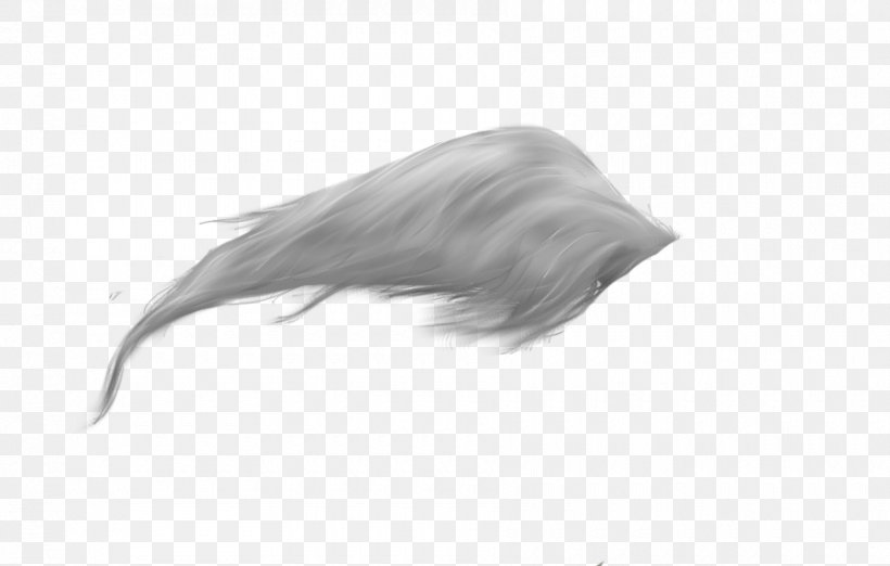Horse Tail Feather Clip Art, PNG, 900x573px, Horse, Black And White, Computer Software, Devil, Feather Download Free