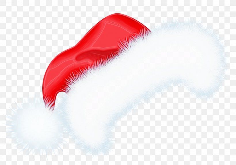 Lips Cartoon, PNG, 1021x717px, Santa Claus, Closeup, Eye, Eyelash, Fur Download Free