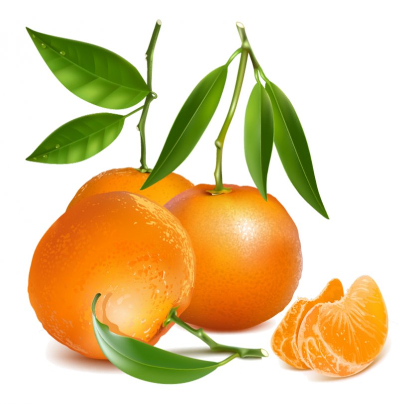 Tangerine Royalty-free Drawing Mandarin Orange, PNG, 824x814px, Tangerine, Art, Bitter Orange, Calamondin, Can Stock Photo Download Free