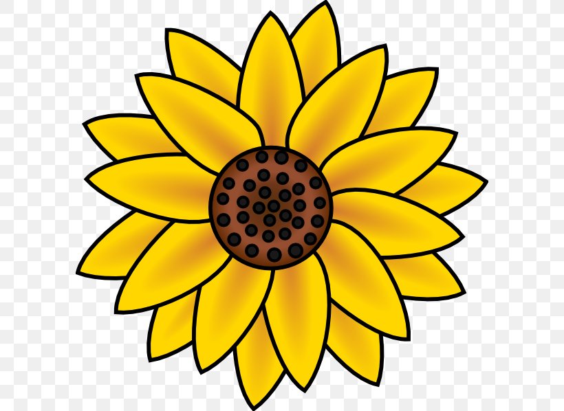 Common Sunflower Free Content Clip Art, PNG, 600x598px, Common Sunflower, Cut Flowers, Daisy Family, Drawing, Flora Download Free