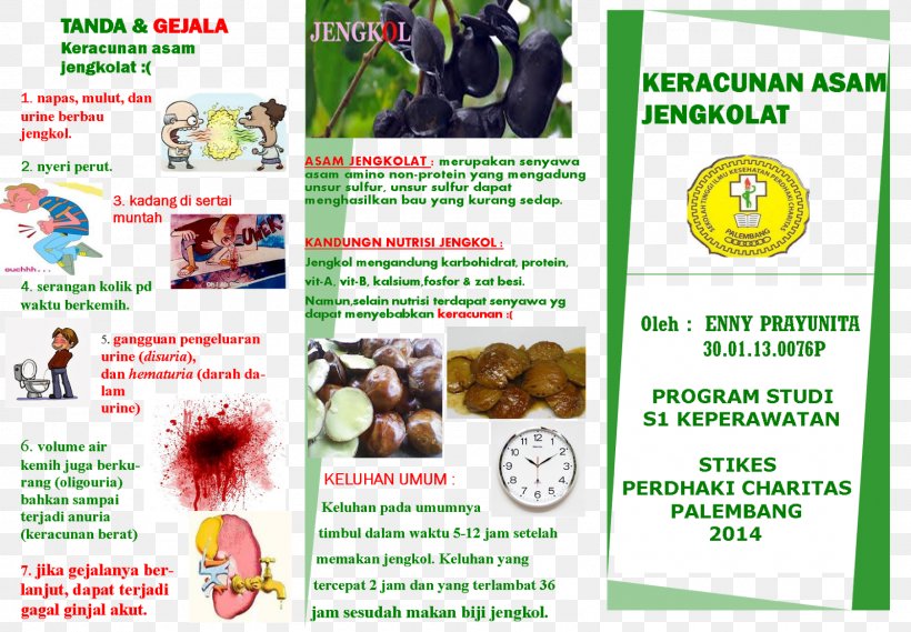 Djenkolic Acid Flyer Disease Hematuria, PNG, 1600x1111px, Acid, Advertising, Brochure, Chromosome, Cri Du Chat Syndrome Download Free