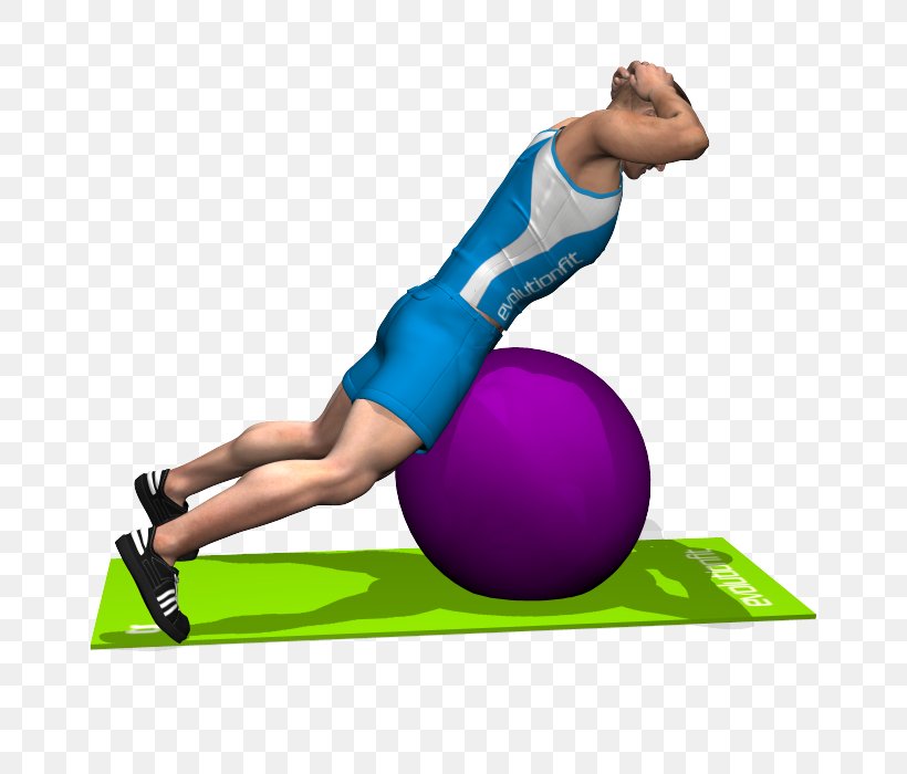 Exercise Balls Sport Abdomen Esercizi Multiarticolari, PNG, 700x700px, Watercolor, Cartoon, Flower, Frame, Heart Download Free