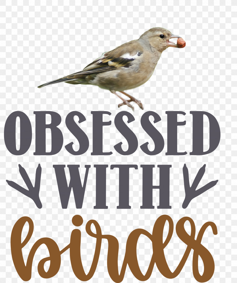 Obsessed With Birds Bird Birds Quote, PNG, 2515x3000px, Bird, Beak, Biology, Birds, Finches Download Free
